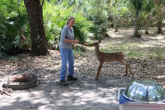 Lake Kissimmee Campground Picture 2