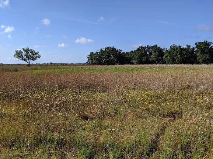 Lake Kissimmee Campground Picture 8