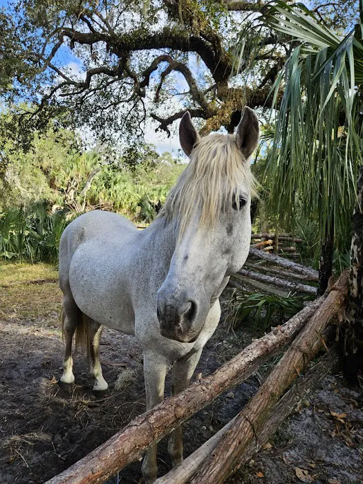 Cow Camp at Lake Kissimmee State Park Picture 5