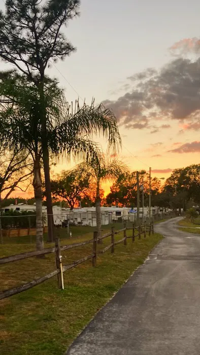 Lazydays RV Resort Picture 6