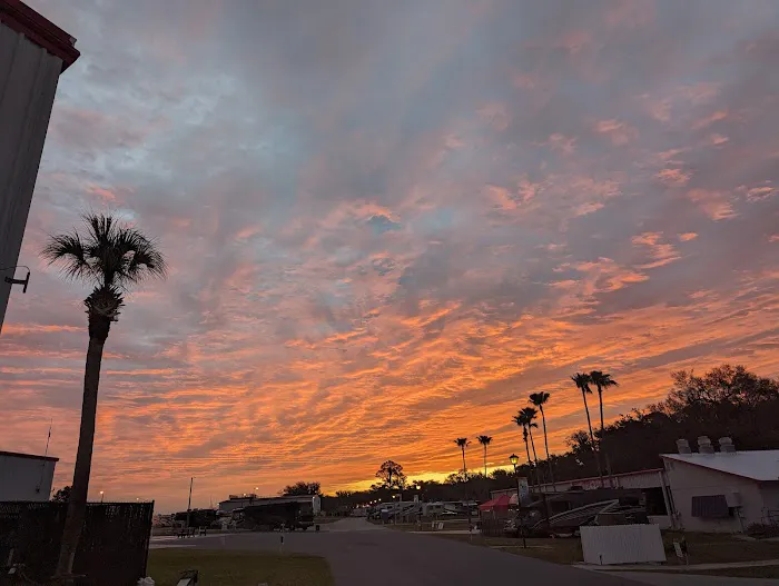 SUN 'n FUN Campground Picture 7