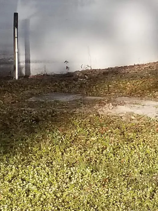 SUN 'n FUN Campground Picture 2