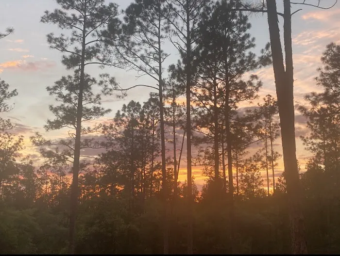 The Wandering Path Picture 2