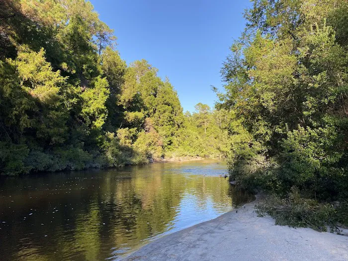 The Wandering Path Picture 9