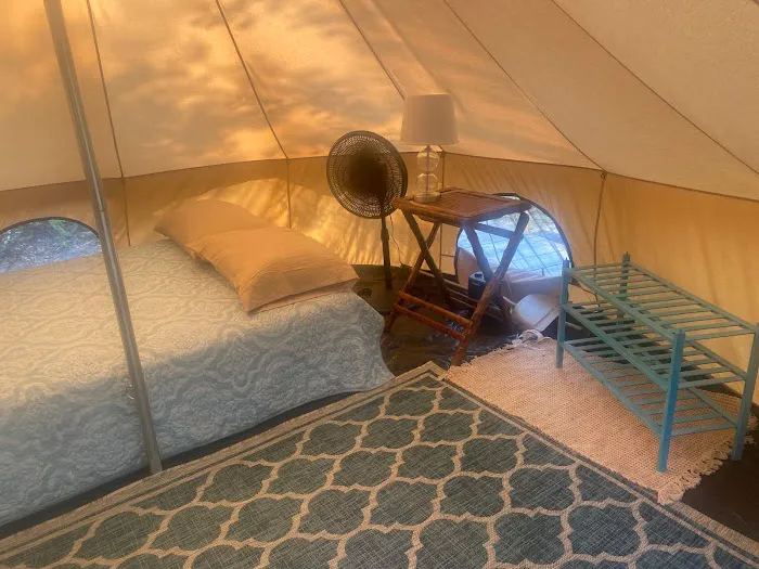 The Wandering Path Picture 8