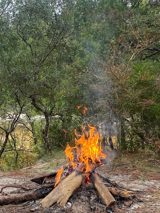 The Wandering Path Picture 1