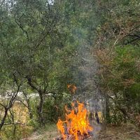 The Wandering Path ico