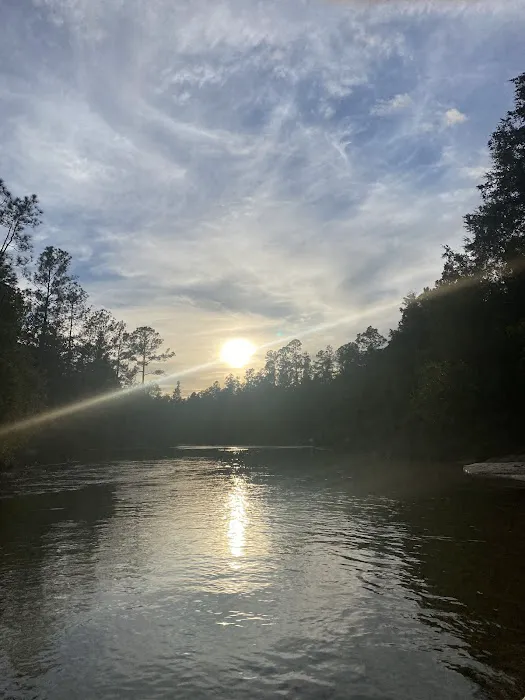 The Wandering Path Picture 10