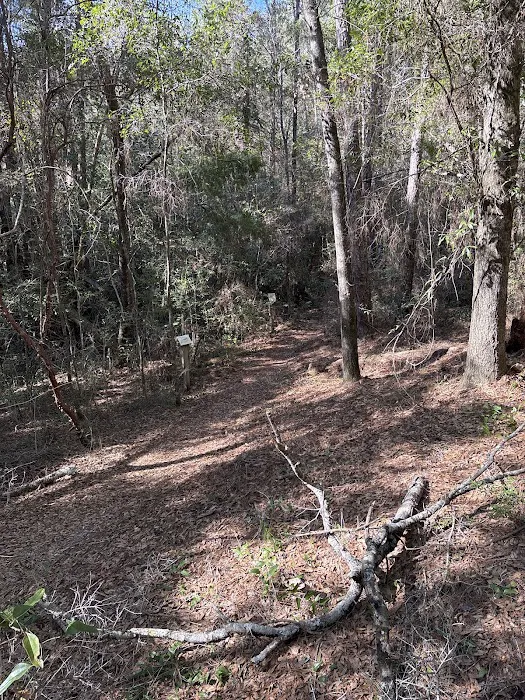 Clear Creek Campground Picture 8