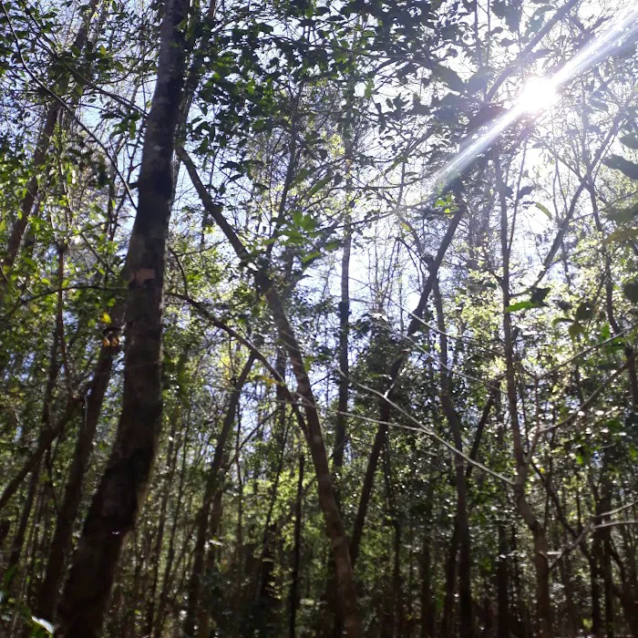 Webb Landing Picture 7