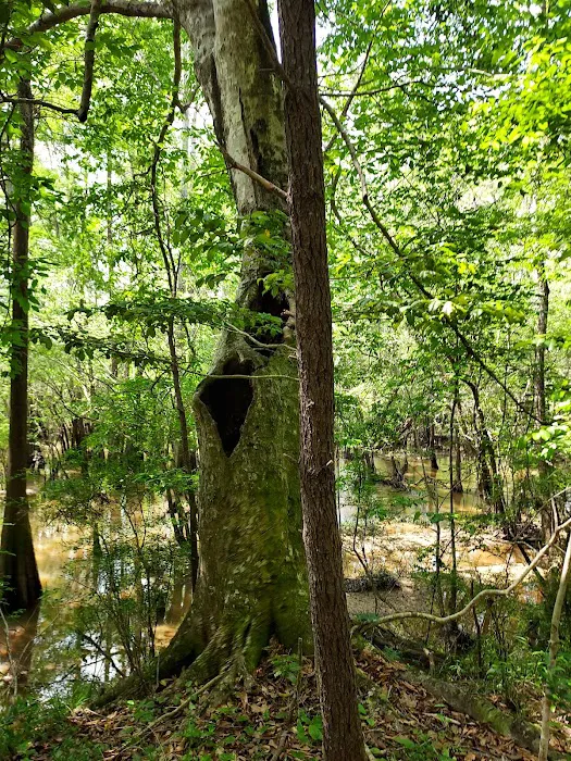 Webb Landing Picture 4