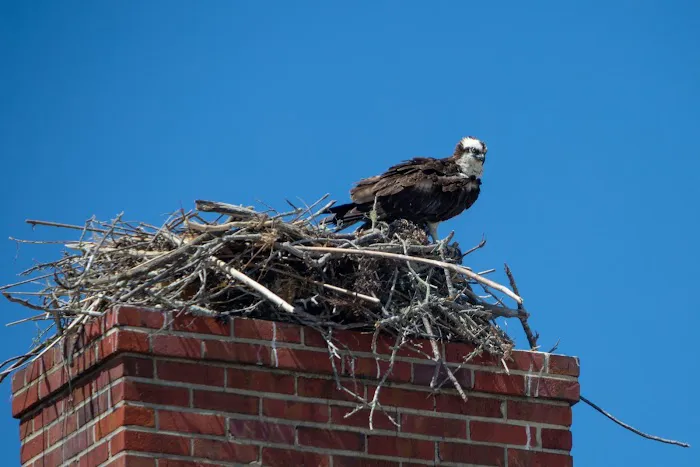 Fort Pickens Campground Office Picture 3
