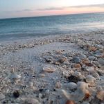 Fort Pickens Campground