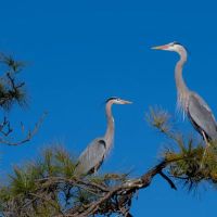 Fort Pickens Area of Gulf Island National Seashore ico