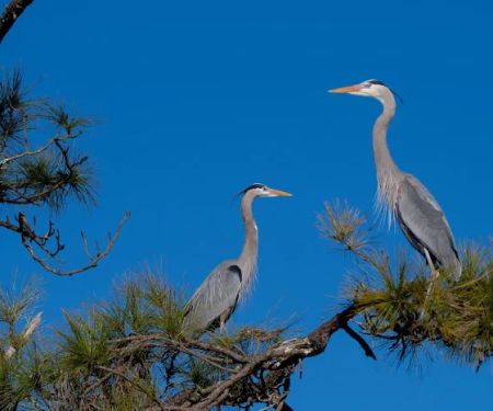 Fort Pickens Area of Gulf Island National Seashore