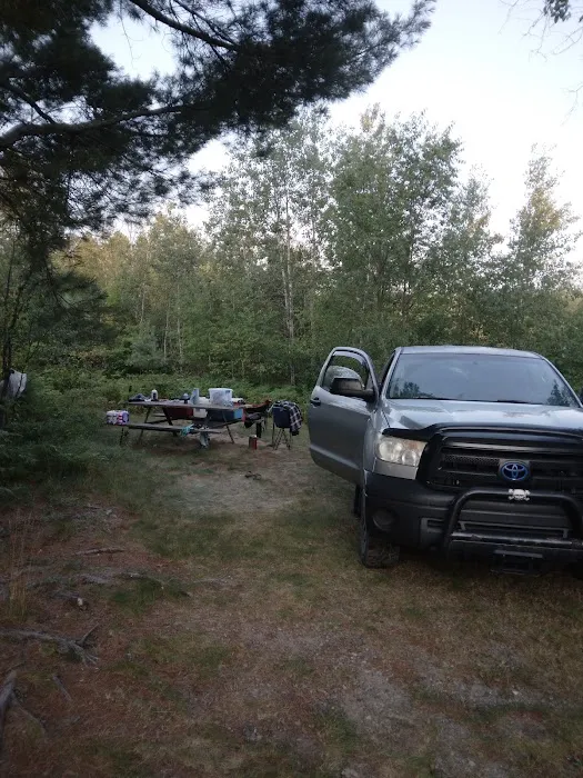 Challancin Landing Campground Picture 4