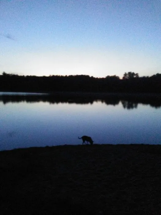 Gibson Lake Park & Campgrounds Picture 2