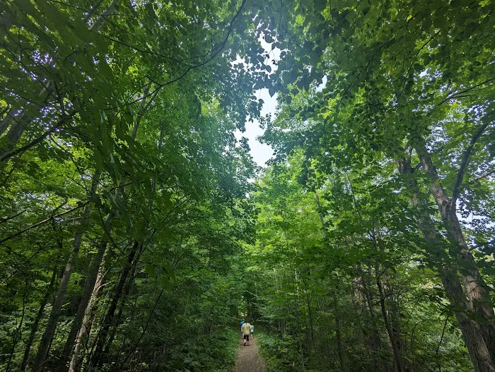 Marquette County Perkins Park & Campground Picture 10