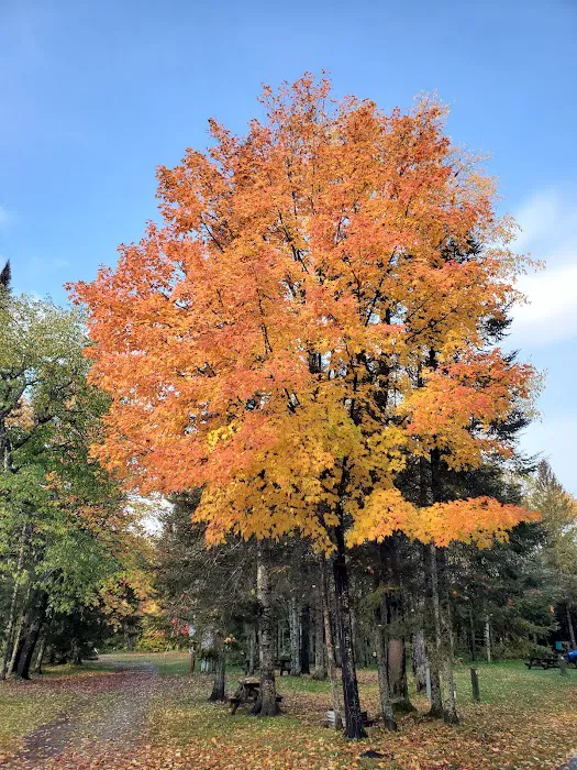 Michigamme Shores Campground Picture 8