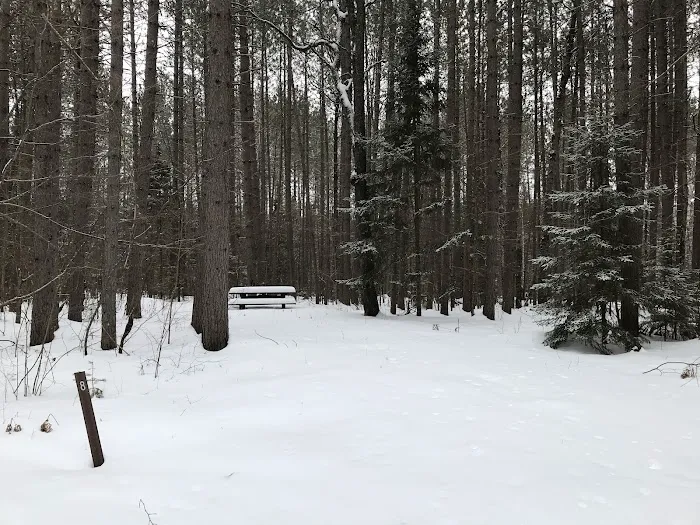 Windsor Dam Campground Picture 5