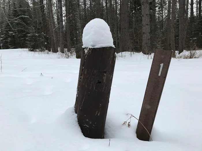 Windsor Dam Campground Picture 3