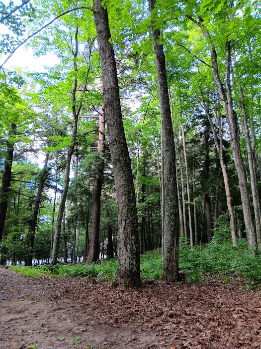 Lake Ottawa Recreation Area Picture 8