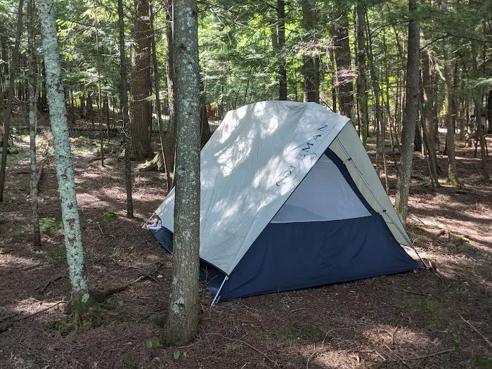 Lake Ottawa Recreation Area Picture 3