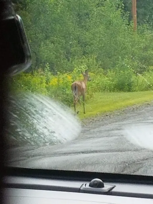 Lake Ottawa Recreation Area Picture 7