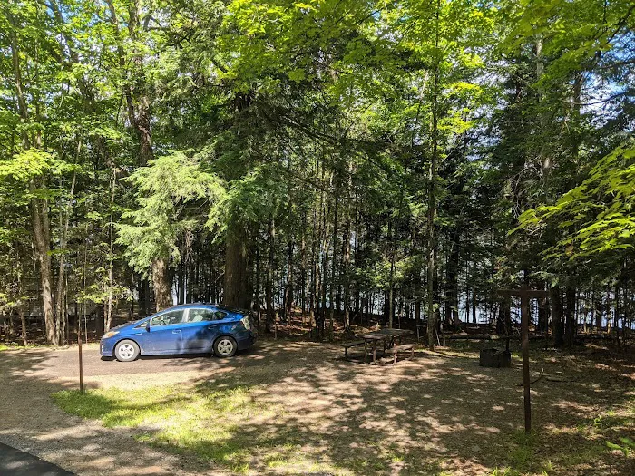 Lake Ottawa Recreation Area Picture 6