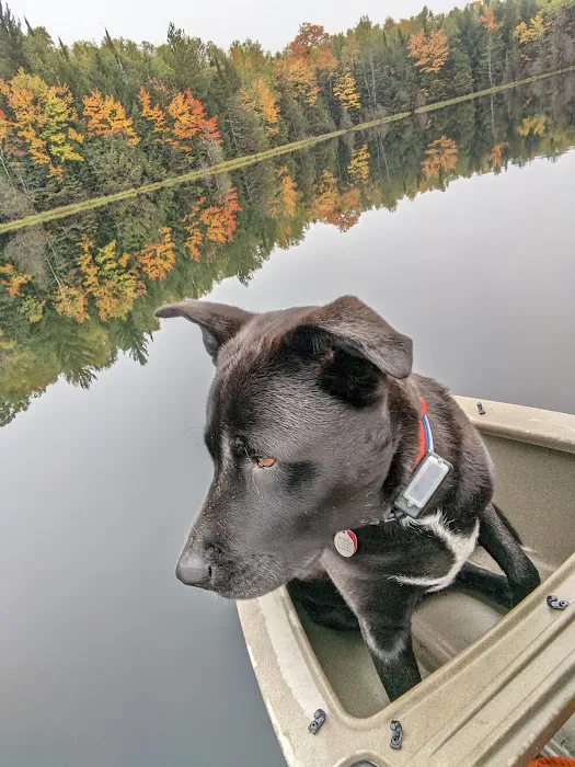 Bose Lake Campsite Picture 2