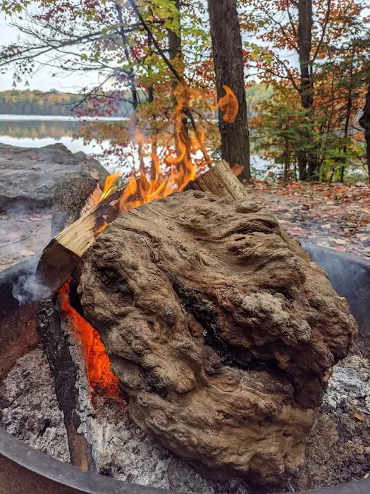 Bose Lake Campsite Picture 1