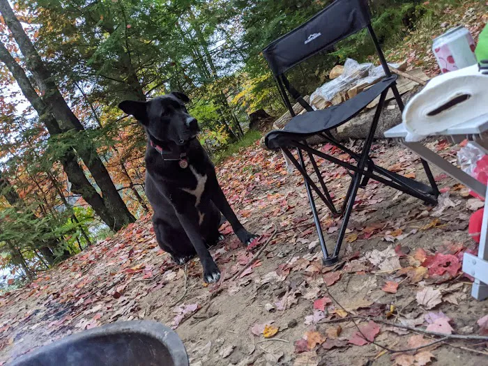 Bose Lake Campsite Picture 7