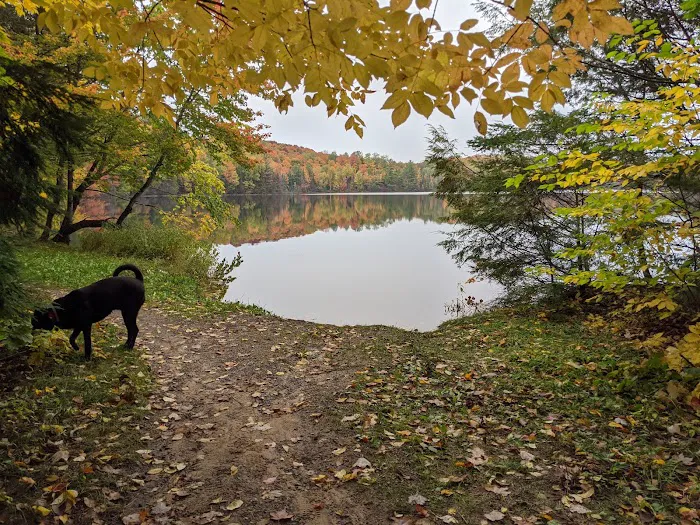 Quartz Lake Campgroup Picture 3