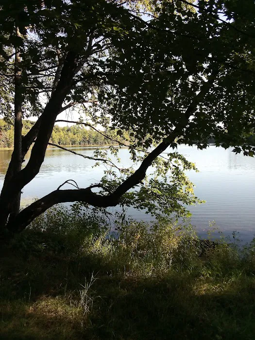 Quartz Lake Campgroup Picture 4