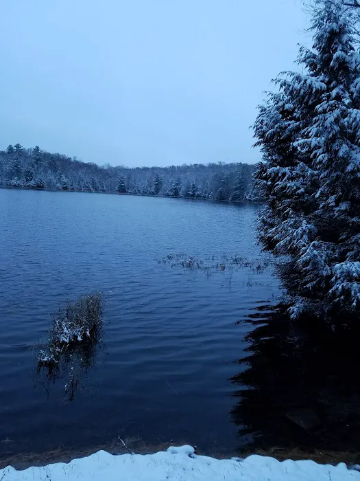 Quartz Lake Campgroup Picture 2