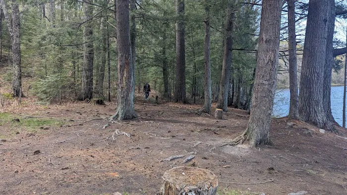 Quartz Lake Campgroup Picture 5