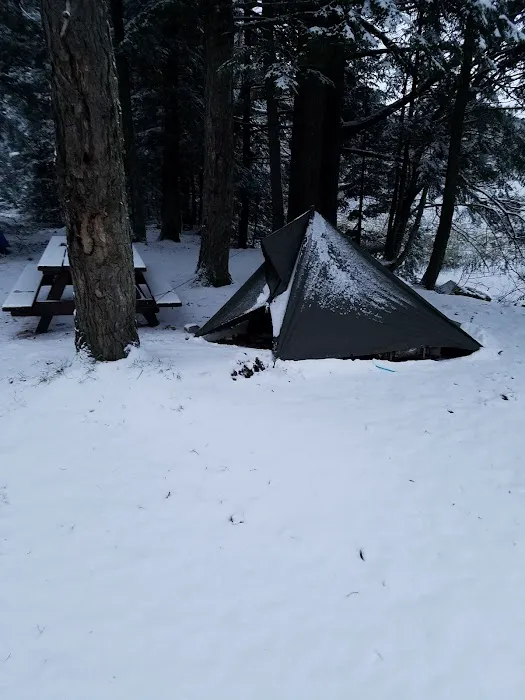 Quartz Lake Campgroup Picture 6