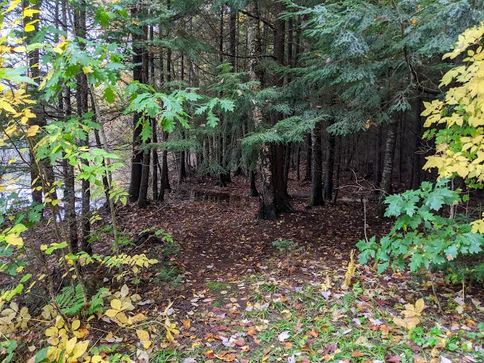 Quartz Lake Campgroup Picture 8