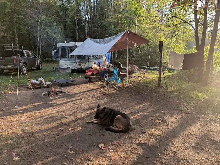 Robinson Lake Campsite Picture 2