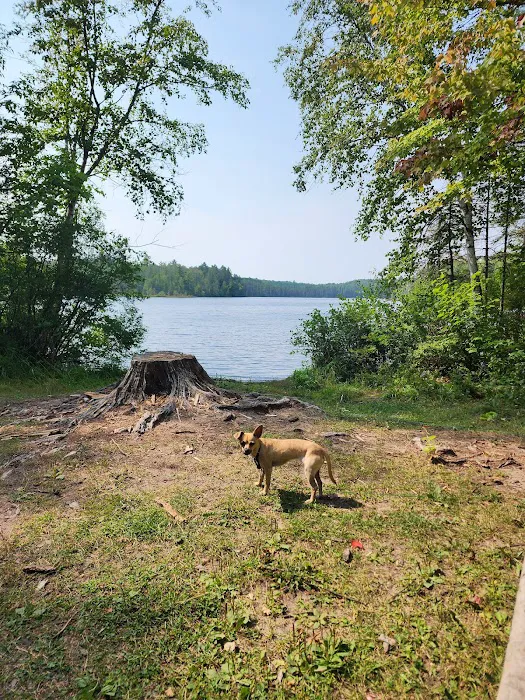 Robinson Lake Campsite Picture 3