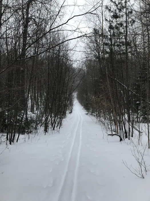 Kentuck Lake Campground Picture 3