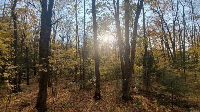 Kentuck Lake Campground Picture 2