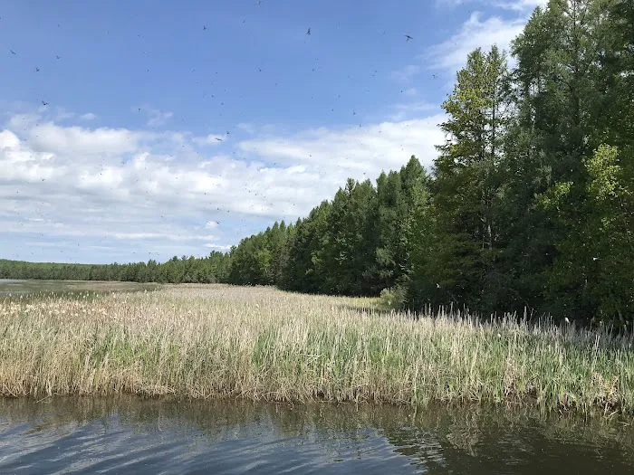 Kentuck Lake Campground Picture 6
