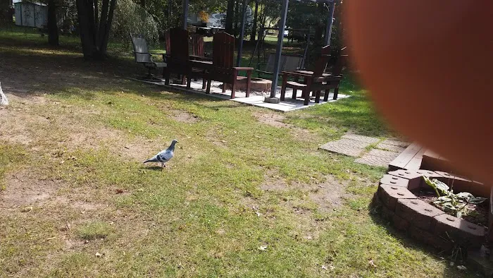 Lotts landing Picture 10