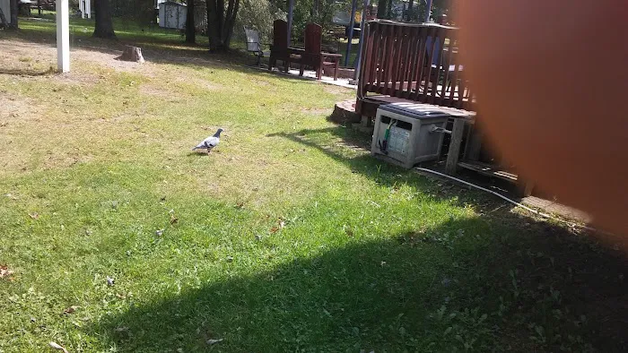 Lotts landing Picture 8