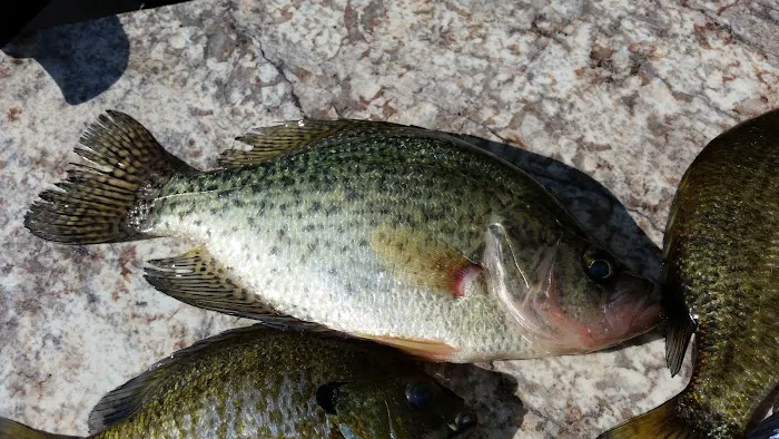 Pokegama Creek Campground Picture 2