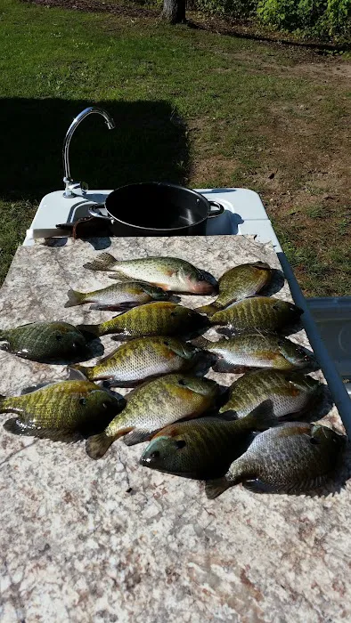 Pokegama Creek Campground Picture 4