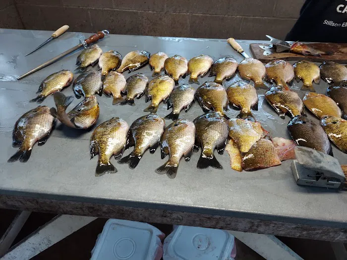 Hitts Wildwood Resort Picture 2