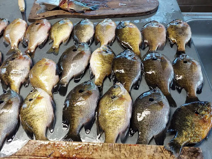 Hitts Wildwood Resort Picture 7