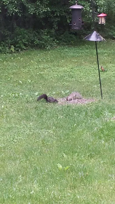 Hitts Wildwood Resort Picture 5